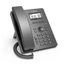 FLYINGVOICE P10 High Performance Entry-level IP Phone