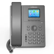 FLYINGVOICE P11 Color Screen Entry-level IP Phone